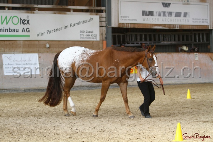 24-ApHC HIH_062.jpg